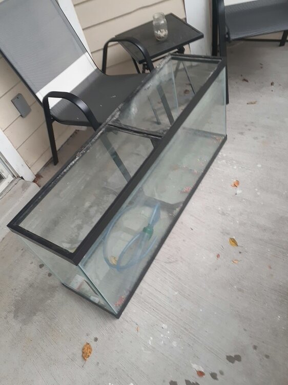 55 gal fish tank enclosure Enclosures & Setups MorphMarket Reptile