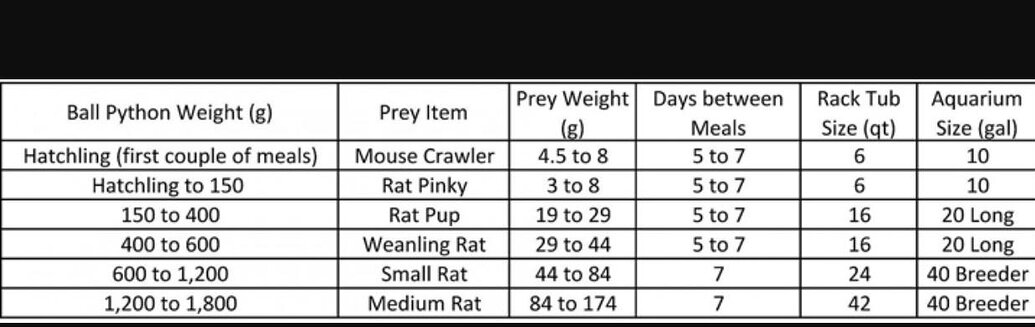 Anyone have a good breeding/feeding/weight chart? - Ball Pythons ...
