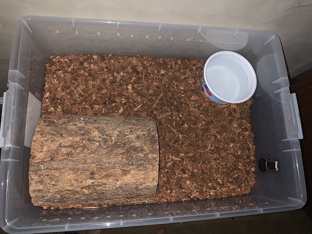 Double check on my first tub setups/ are these good brands? - Ball ...