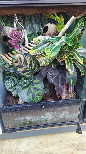 IMG_20220808_125042_1