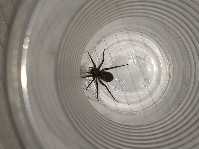 IMG_20250318_075842324