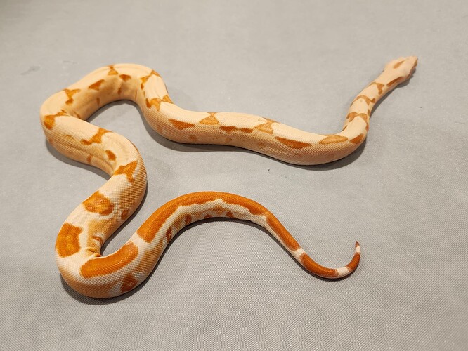 387d7998-b128-4d9f-b35a-782e074ba835-1_all_21233