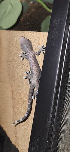 Screenshot_20230220_121150_Gallery