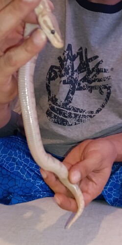 Resized_20250930_214413