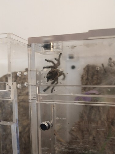 IMG_20250714_175432422