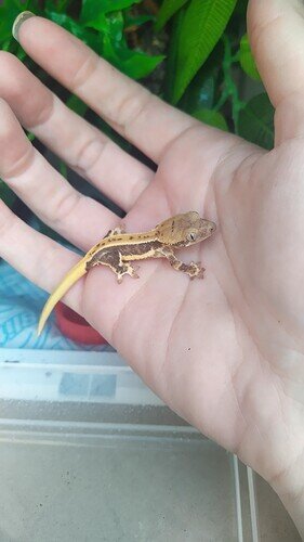 IMG_20220623_195446_1