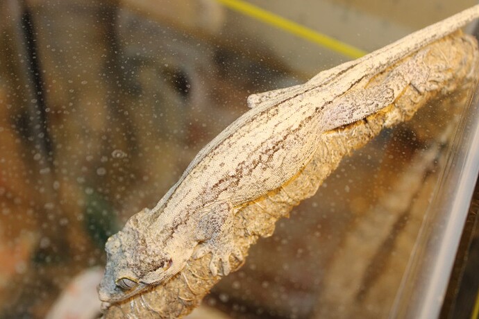 Image 8-3-25 at 1.26 PM