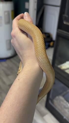 exported_01803873-09B6-4276-BF90-558E15113371