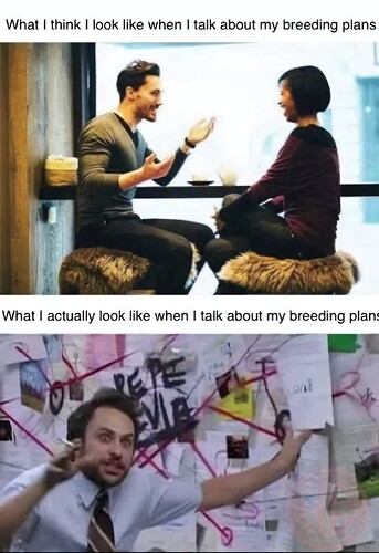 1000000176