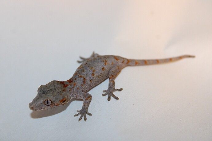 4B4EB1DA-13E7-4234-A5C0-DE68AA353847