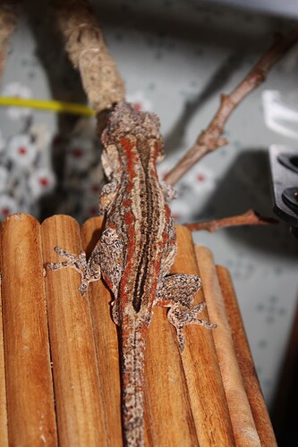 Image 8-3-25 at 1.27 PM