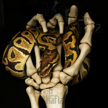 Screenshot 2025-10-19 182826