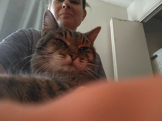 IMG_20251012_113837273