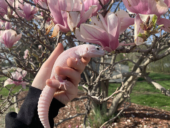 41177446-1E8E-479A-93FB-709CA0F326AA