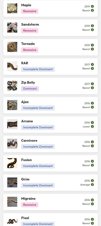 New ball python morphs - Ball Pythons - MorphMarket Reptile Community