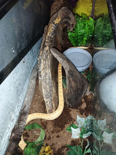 IMG_20260313_203136_691