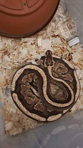 6e777aff-42a5-4ac3-919a-95016ae47f18