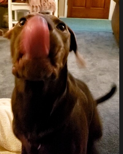 4408