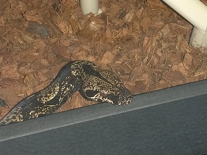 IMG_20250712_142751265