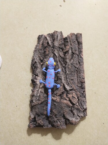 IMG_20251214_174353634