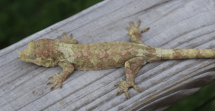 Screenshot 2025-09-30 122937