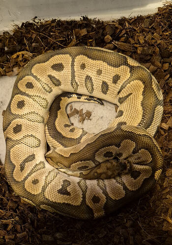 10357