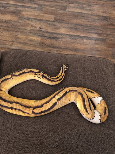 18367