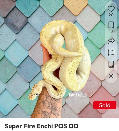 1000004995