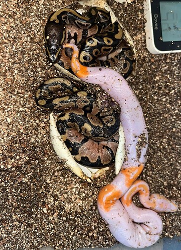 WhatsApp Image 2025-09-18 at 12.06.48 PM