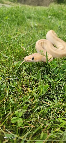 IMG_7773