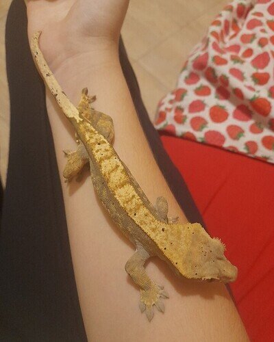 Screenshot_20221124-083008_Gallery