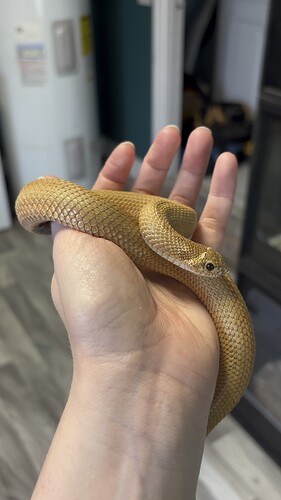 exported_5CFC6590-6D86-4B97-AE0C-EA5AFA8C74B6