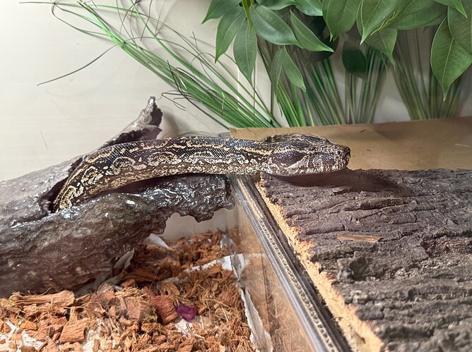 Screenshot 2026-04-15 at 11.21.31 AM