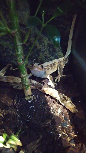 IMG_20220510_204906_2