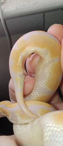 IMG_20250124_123528193