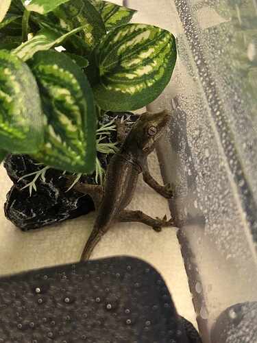 received_2001731530569857