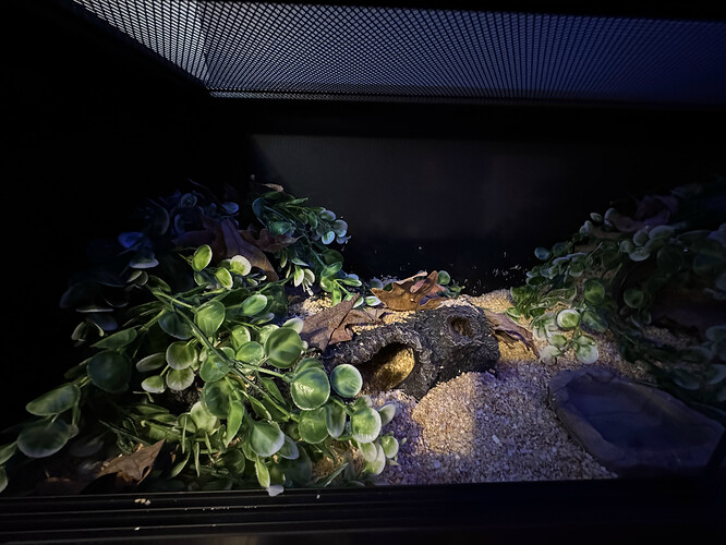 Left side of enclosure.HEIC