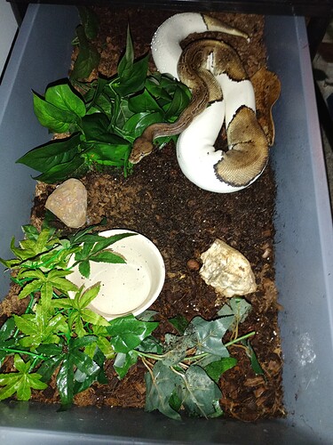 IMG_20260313_202833_427