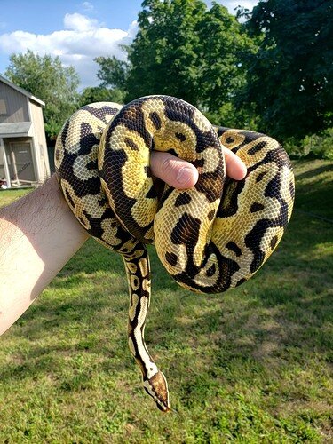 20200817_164524_capture