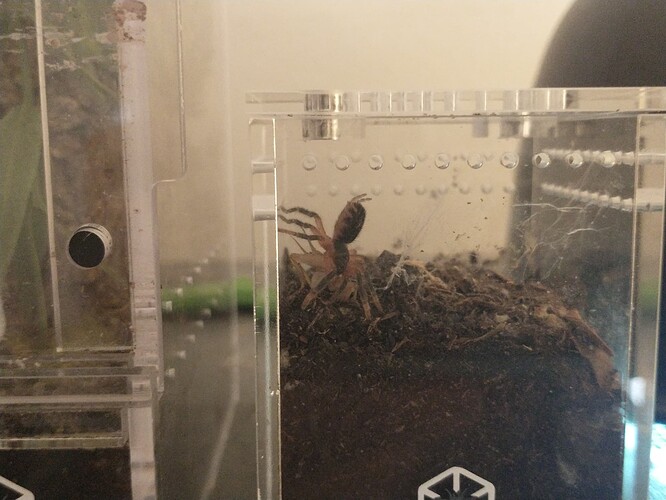 IMG_20250427_141730184