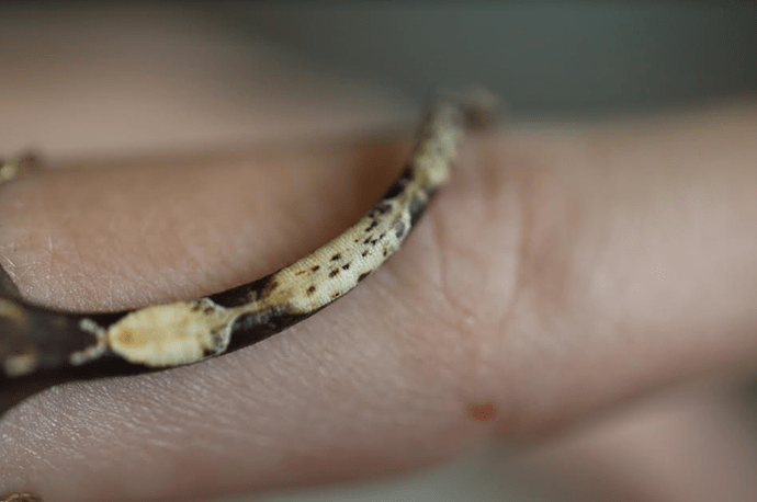 Screenshot 2022-07-26 6.05.09 PM