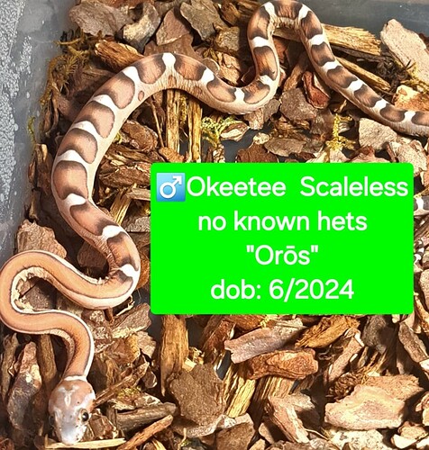 1000035299