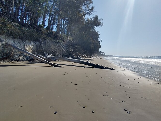 IMG_20250407_101406918_HDR
