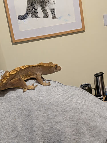 7724