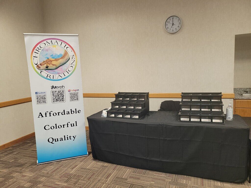 Our First Show as a Vendor All Reptiles MorphMarket Reptile Community
