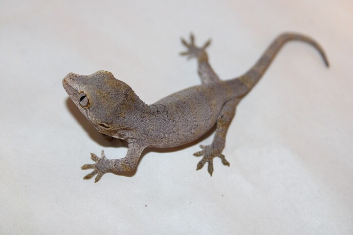 D3A58EB1-D14B-43F0-A2AB-9D8A812C04FC