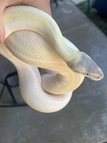 7DB4C73C-A2A0-4F31-BE1E-A308EE440153