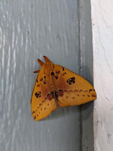 PXL_20210603_225207672