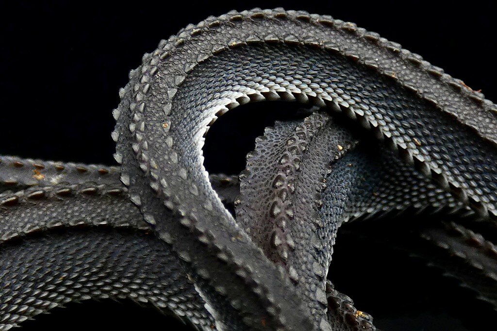 38694464f7c54e50c3097ff3cbb56e