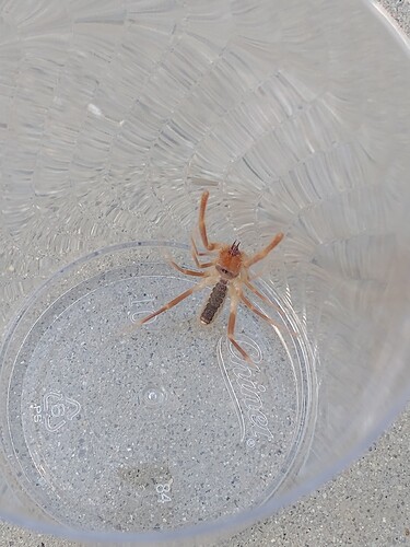 IMG_20260407_074419436